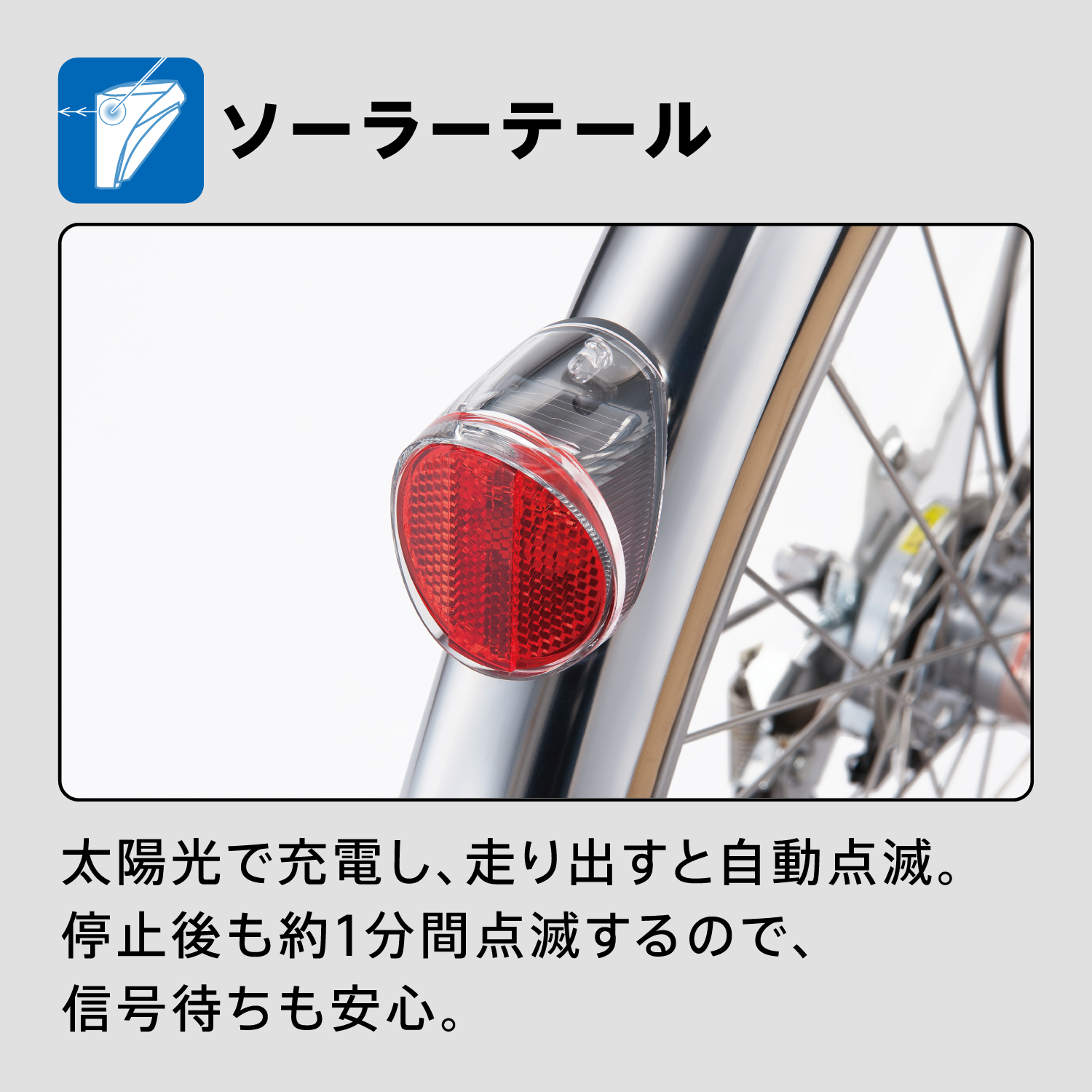 ズーム